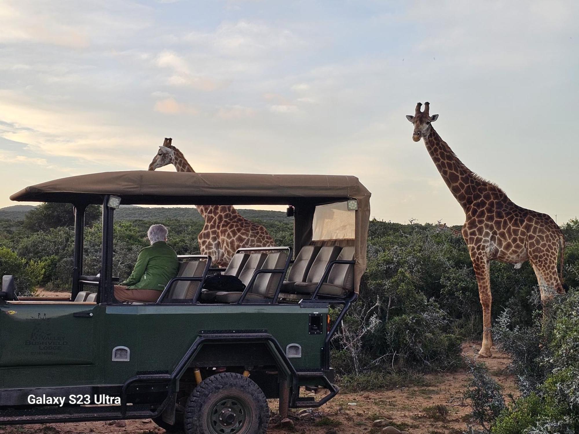 Valley Bushveld Country Lodge Addo Exterior photo