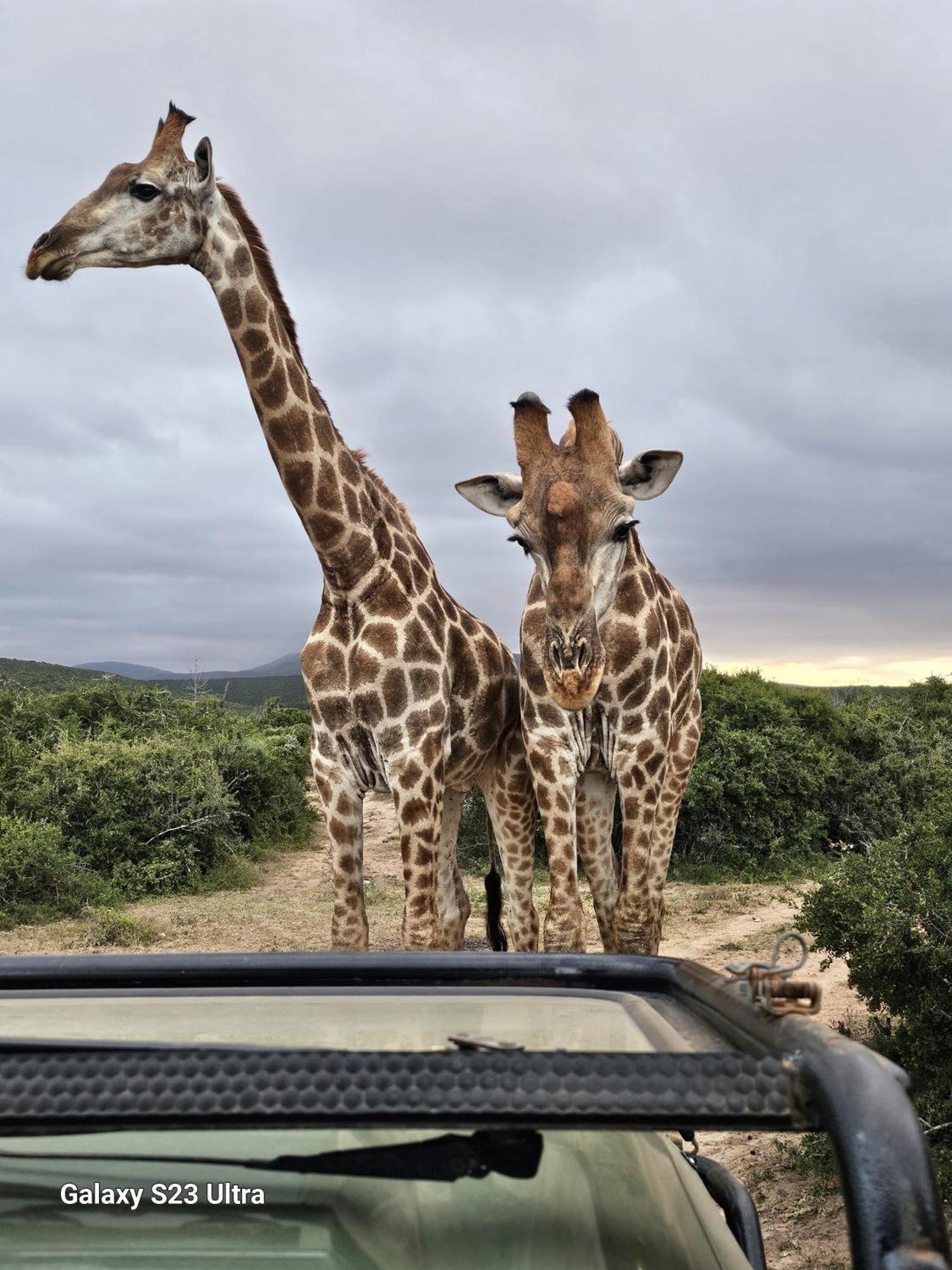 Valley Bushveld Country Lodge Addo Exterior photo