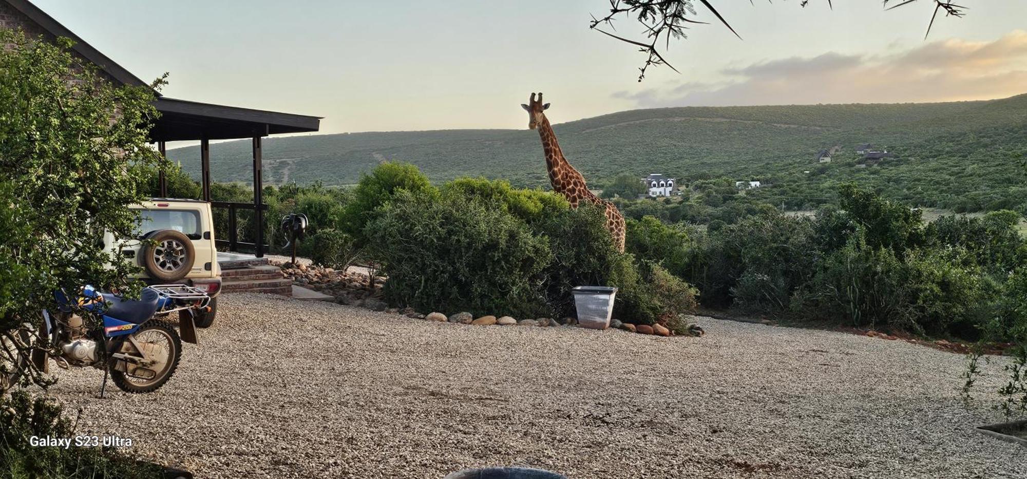 Valley Bushveld Country Lodge Addo Exterior photo