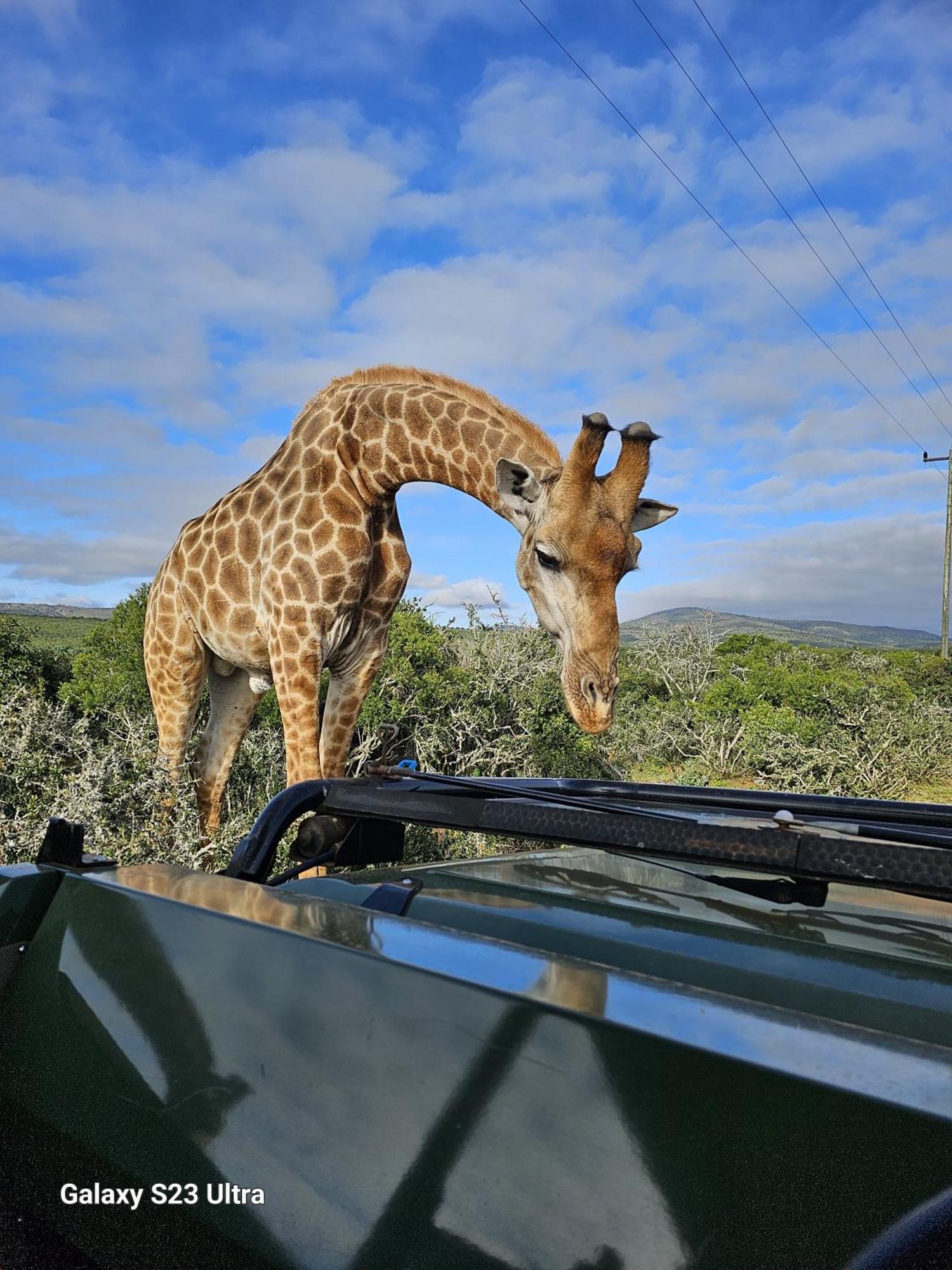 Valley Bushveld Country Lodge Addo Exterior photo