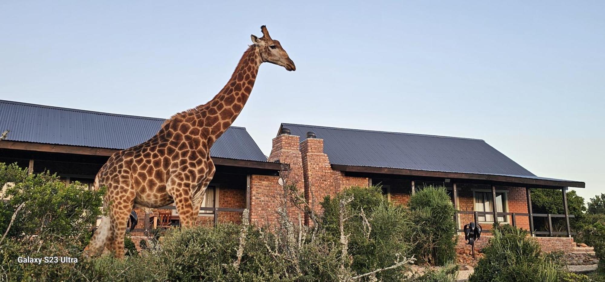 Valley Bushveld Country Lodge Addo Exterior photo