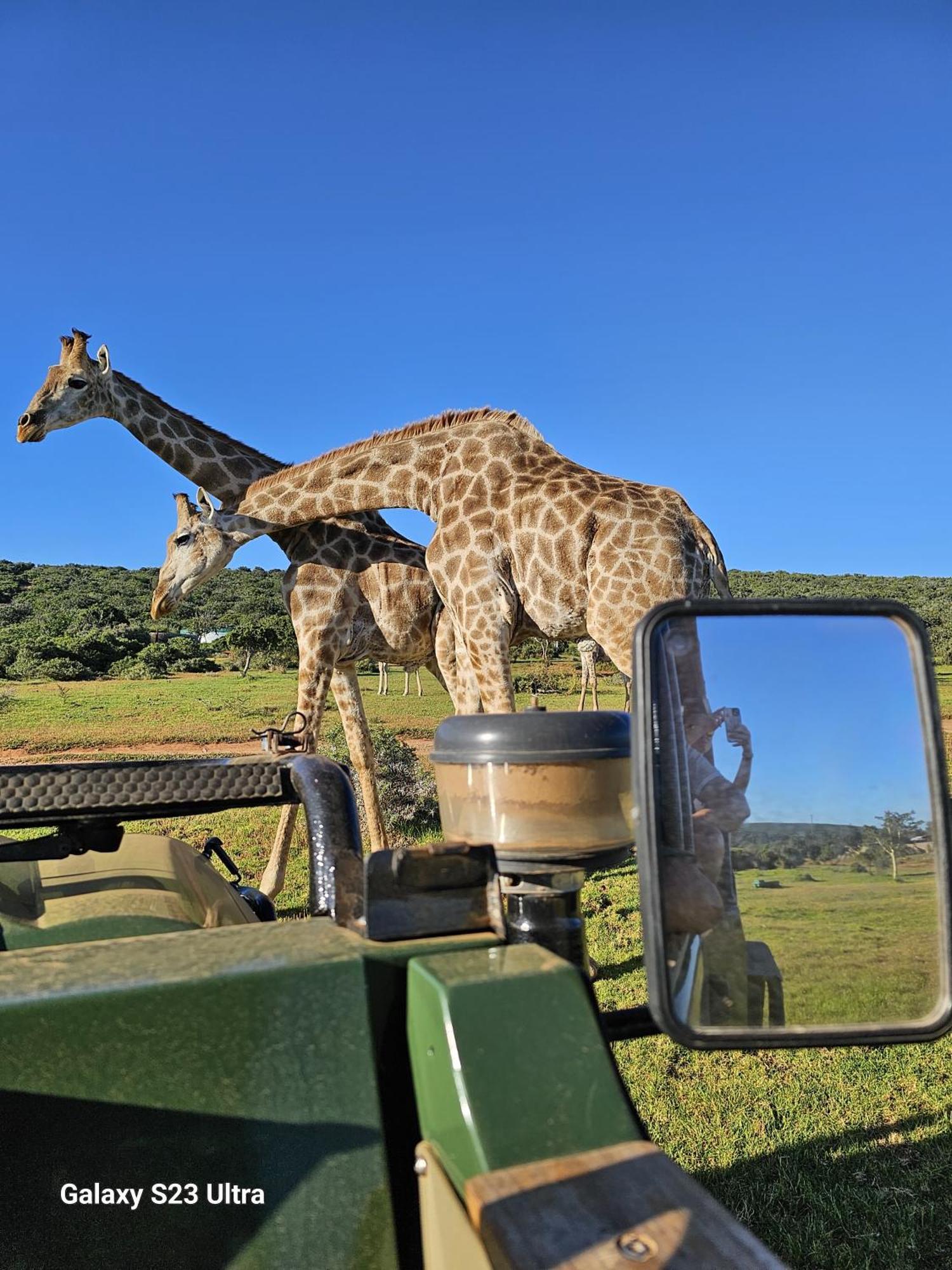 Valley Bushveld Country Lodge Addo Exterior photo