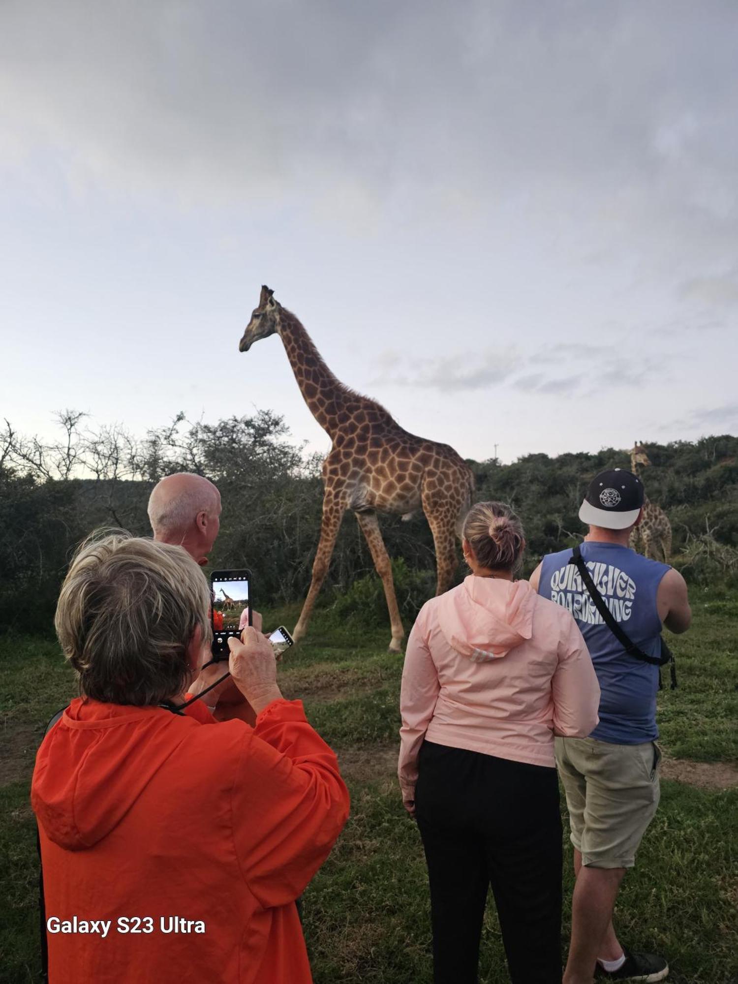 Valley Bushveld Country Lodge Addo Exterior photo