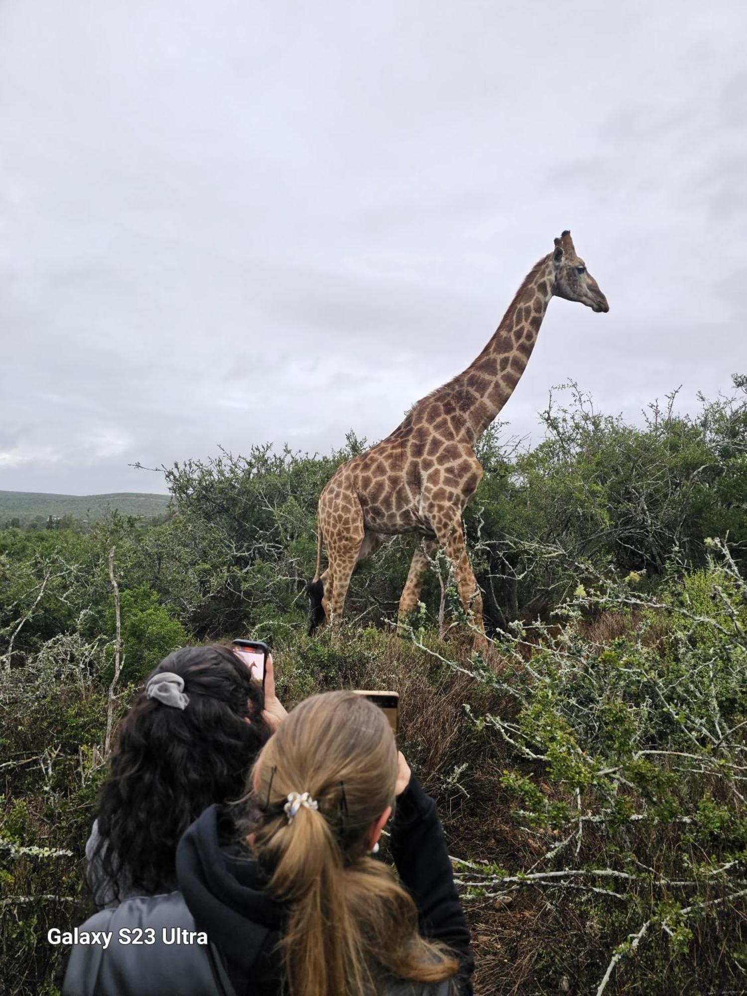 Valley Bushveld Country Lodge Addo Exterior photo